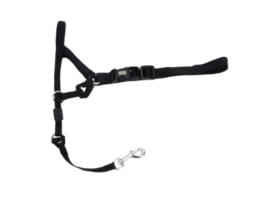 Coastal Walk ‘n Train Head Halter, Large