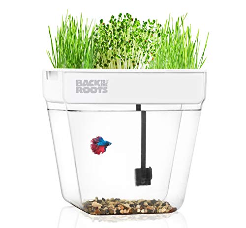 Back To The Roots Water Garden Aquarium, Fish Tank That Grows Food, Mini Aquaponic Ecosystem