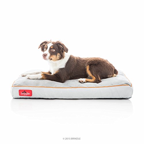 Brindle Soft Shredded Memory Foam Dog Bed with Removable Washable Cover – 28in x 18in – Stone