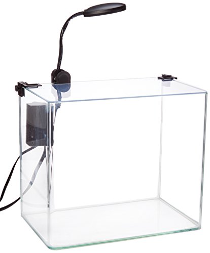 Penn Plax Curved Corner Glass Aquarium Kit, Filter, LED Light, Float Glass For Maximum Viewing 3.4 Gallon