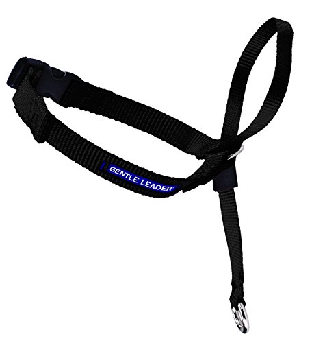 PetSafe Gentle Leader Head Collar with Training DVD, LARGE 60-130 LBS., BLACK