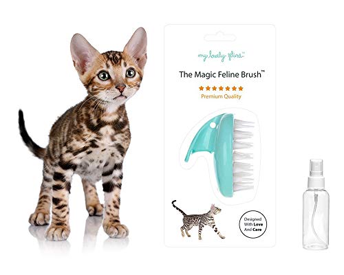 My Lovely Feline: The Original Magic Feline Brush [Premium Anti-Bacterial Grade Silicone Brush for Long Haired & Short Haired Cats] Seafoam Blue