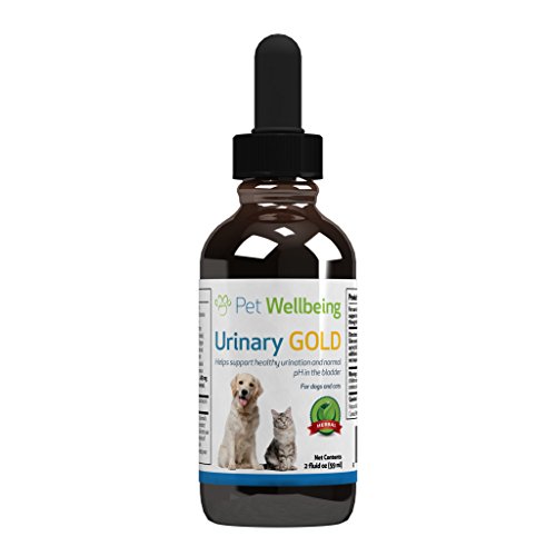Pet Wellbeing Urinary Gold for Cats – Natural Support for Feline Urinary Tract Health – 2oz (59ml)