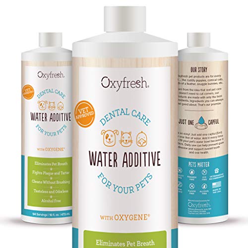 Oxyfresh Premium Pet Dental Care Solution (16oz): Best Way To Eliminate Bad Dog Breath & Cat Breath – Fights Tartar, Plaque & Gum Disease! – So easy, just add to water! Vet Recommended!