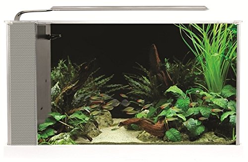 Fluval Spec V Aquarium Kit, 5-Gallon, White