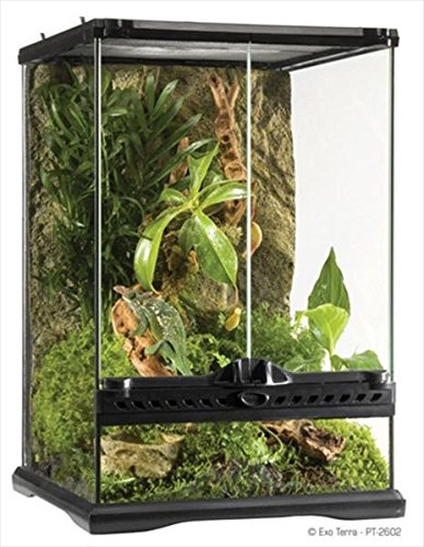 Exo Terra Glass Terrarium, 18 by 18 by 24-Inch