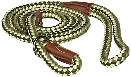 Coastal Pet Products DCPR0216GRW Nylon Remington Rope Slip Dog Leash, 6-Feet, Green/White