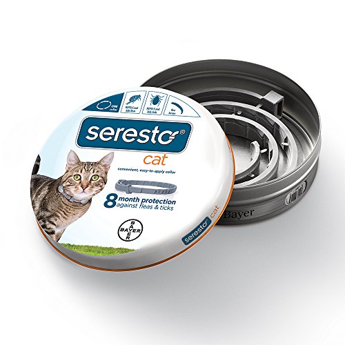 Bayer  Seresto Flea and Tick Collar for Cat, all weights, 8 Month Protection, All sizes