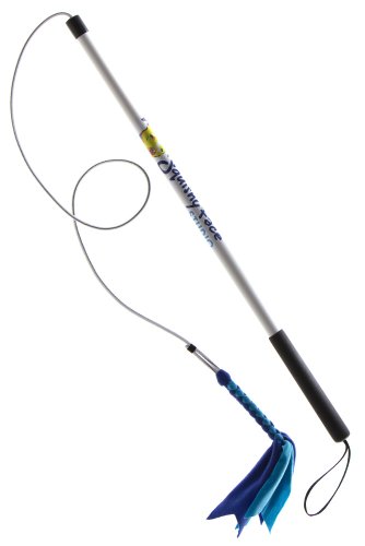 Squishy Face Studio Flirt Pole V2 Dog Exercise Toy with Blue/Aqua Squeaker Fleece Lure, 36-Inch – V2FP-BS