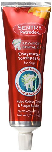 Petrodex Enzymatic Toothpaste Dog Poultry Flavor, 6.2 oz