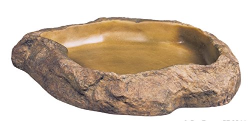 Exo Terra Feeding Dish – Medium