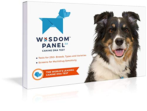 Wisdom Panel 3.0 Breed Identification Dog DNA Test Kit | Canine Genetic Ancestry Test Kit for Dogs