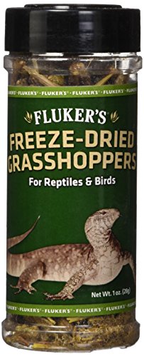 Fluker Labs SFK72018 Freeze-Dried Grasshoppers Reptile Food, 1-Ounce
