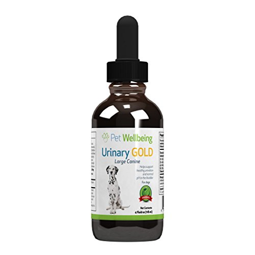 Pet Wellbeing Urinary Gold for Dogs – Natural Support for Dog Urinary Tract Health – 4oz (118ml)