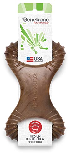Benebone Dental Dog Chew Toy for Aggressive Chewers, Long Lasting, Made in USA, Medium, Real Bacon Flavor