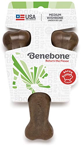 Benebone Wishbone Durable Dog Chew Toy for Aggressive Chewers, Made in USA, Medium, Real Bacon Flavor