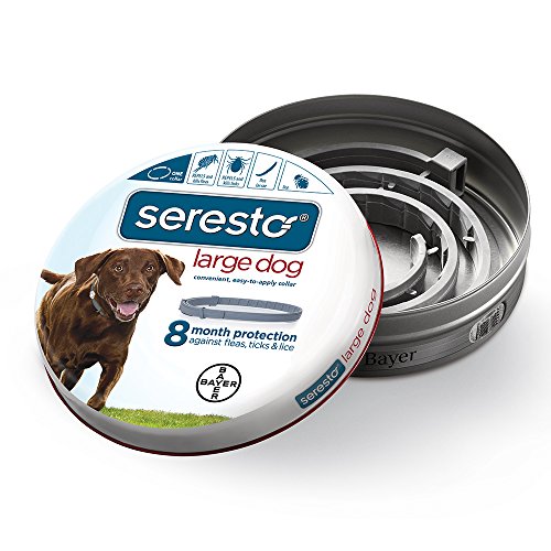 Bayer Animal Health Seresto Flea and Tick Collar for Large Dog- from 7 weeks onwards or over 18 lb, 8 Month Protection