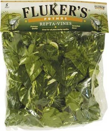 Fluker’s Repta Vines-Pothos for Reptiles and Amphibians