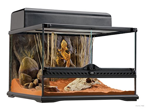 Exo Terra Short All Glass Terrarium, 18 by 18 by 12-Inch