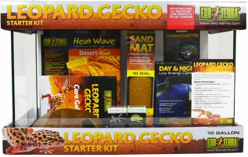Exo Terra Leopard Gecko Starter Kit