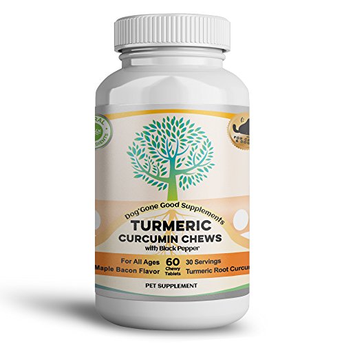 Turmeric Curcumin, Turmeric Curcumin Supplement, Organic Turmeric Curcumin Supplement – 60 Count Turmeric Curcumin Chews for Pet’s by Dog’ Gone Good Supplements – Digestive Health, Joint Health, Anti