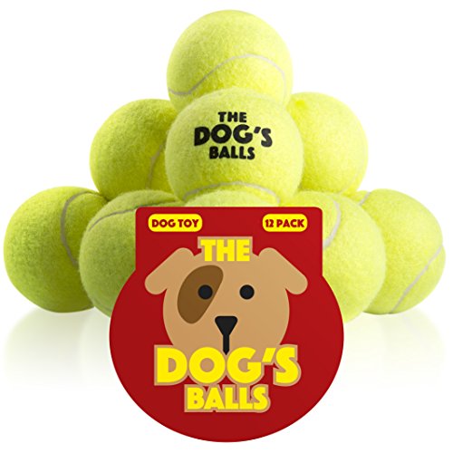 The Dog’s Balls, 12 Premium Dog Tennis Balls, Ball for Puppy Training, Play, Exercise & Fetch, Fits Chuckit Launchers, Bouncy Dog Tennis Balls Thicker Than Regular Balls, The King Kong of Balls
